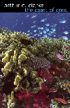 The Coast of Coral